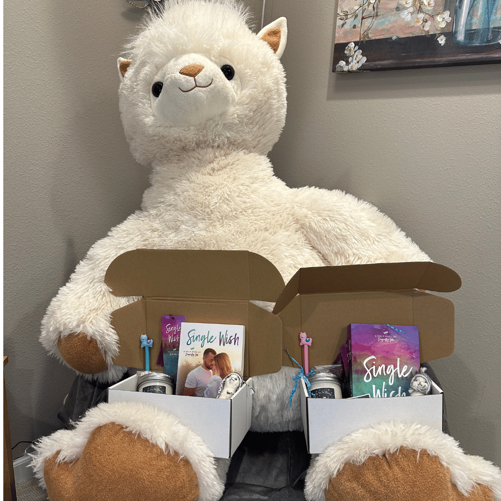 Single Wish Deluxe Holiday Box (paperback)