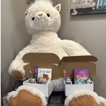 Single Wish Deluxe Holiday Box (paperback)