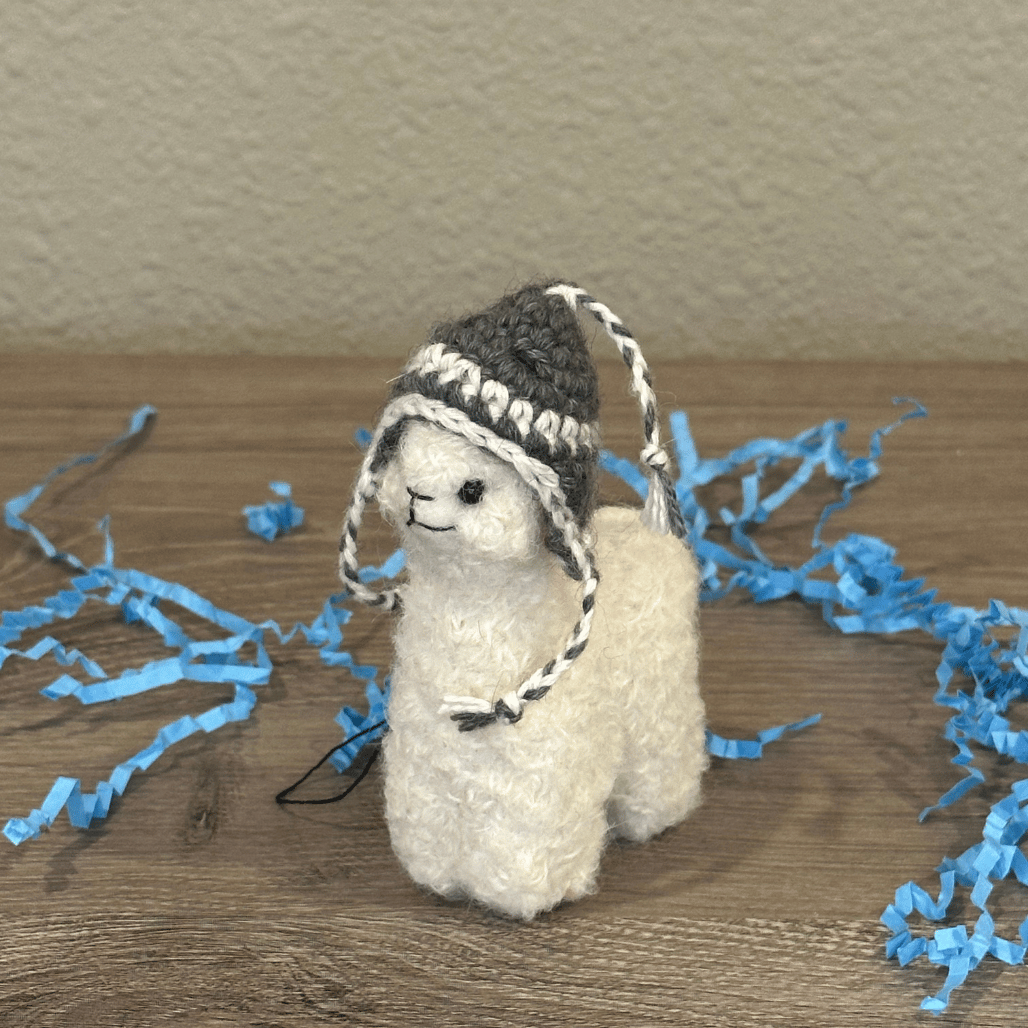 Single Wish Deluxe Holiday Box (paperback)