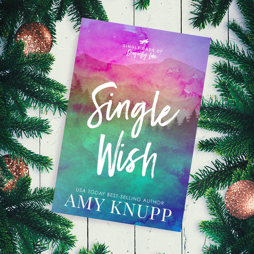 Single Wish Deluxe Holiday Box (paperback)