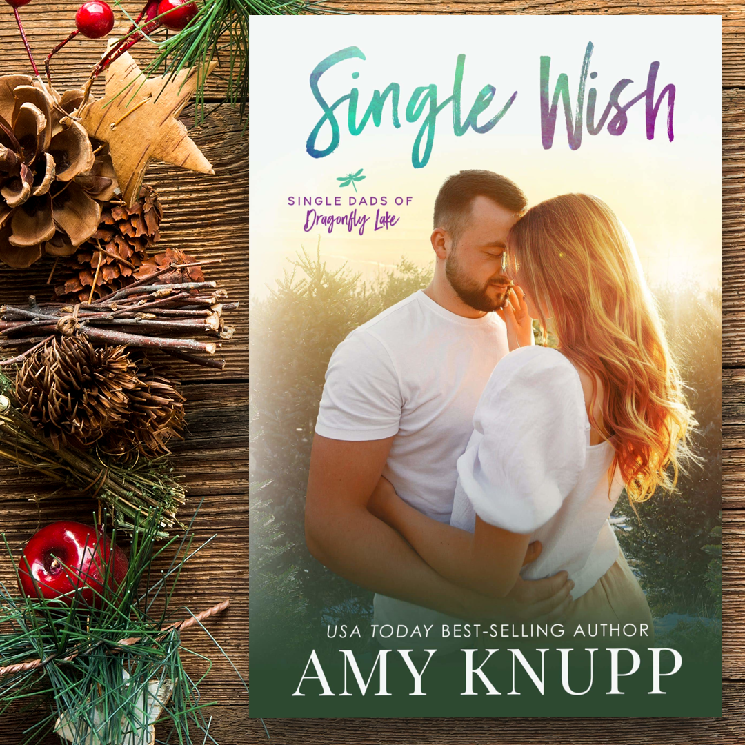 Single Wish Deluxe Holiday Box (paperback)