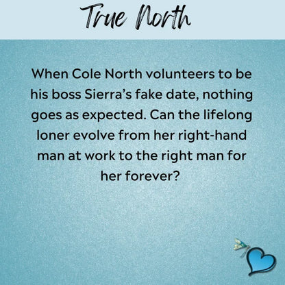 True North (ebook)